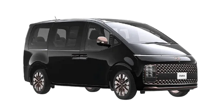 Executive Comfort Van